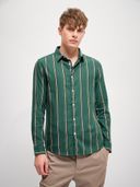 Green color option, Currently selected