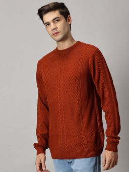 BLACK BUCK - Men Rust Textured Sweater