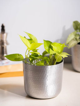 SG Home - Cool Hammered Planter