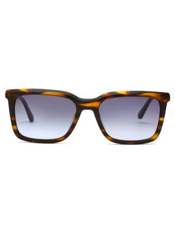 Calvin Klein - Demi Lens Rectangle Sunglass Full Rim Gold Frame with 100% UV Protected (55)