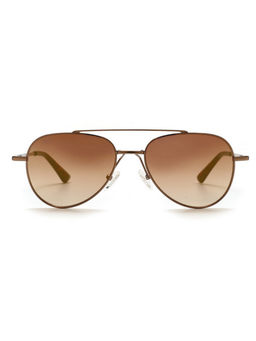 French Connection - Brown Gradient Lens Aviator Sunglass Full Rim Brown Frame (61)