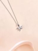 Silver color option, Currently selected