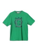 Green color option, Currently selected