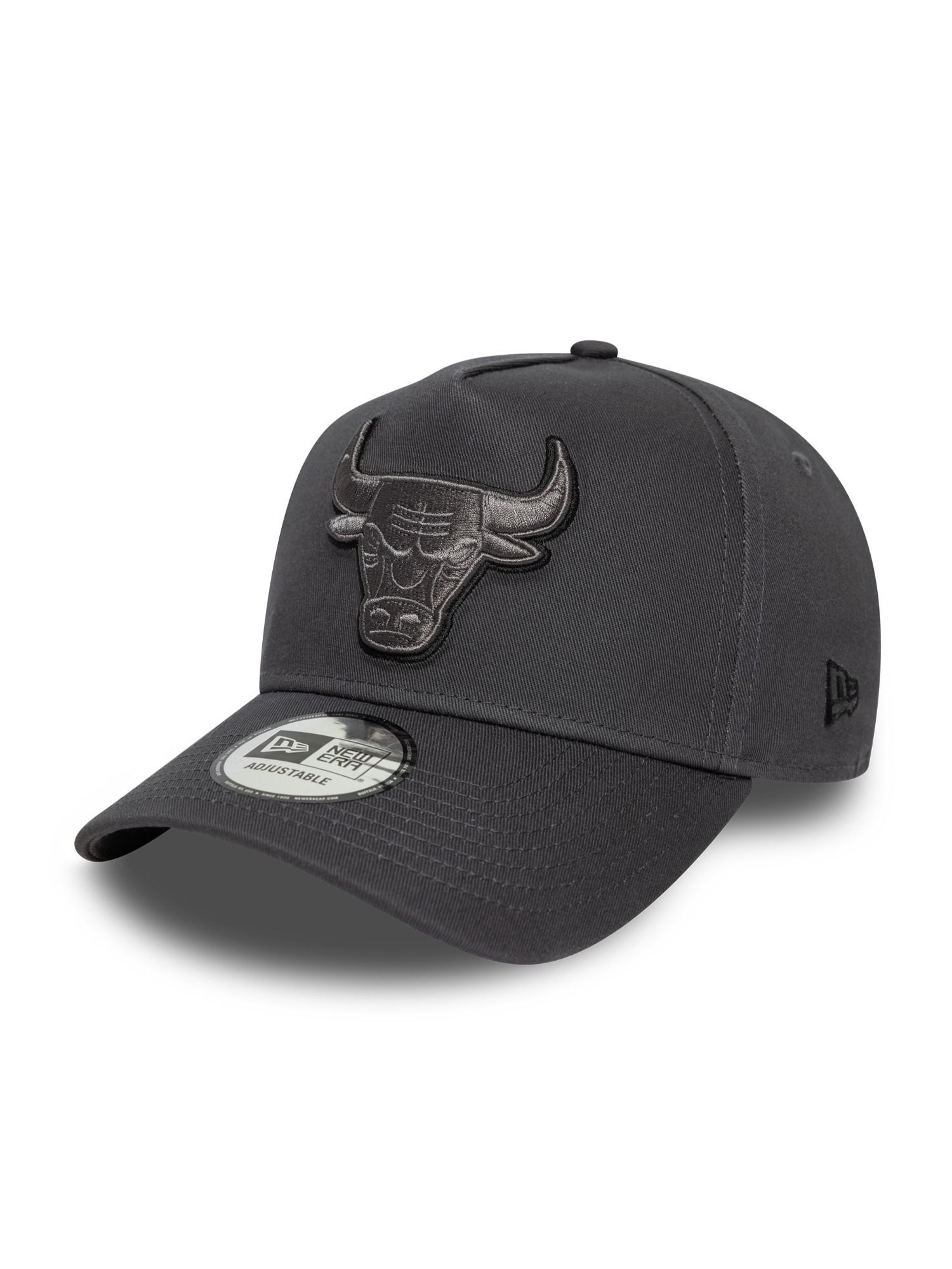 Buy New Era Men TONAL OUTLINE EFRAME CHIBUL GRHBLK Grey Cap Online