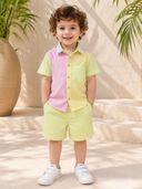 Multi-Color color option, Currently selected