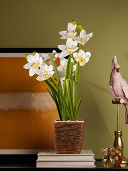 Pure Home + Living - Ivory Artificial Cymbidium in Rattan Pot