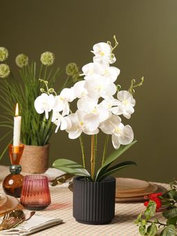 Pure Home + Living - Ivory Artificial Orchid in Ceramic Pot