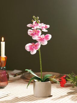 Pure Home + Living - Pink Artificial Orchid in Cement Pot