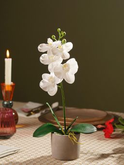 Pure Home + Living - White Artificial Orchid in Cement Pot