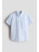 Blue color option, Currently selected