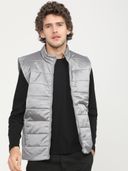 Silver color option, Currently selected