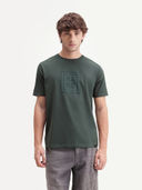 Green color option, Currently selected
