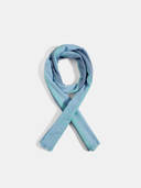Blue color option, Currently selected