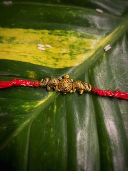 Digital Dress Room - Rakhi Design Tortoise And Elephant Pendant Mauli Raksha Bandhan