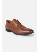 Brown color option, Sold out