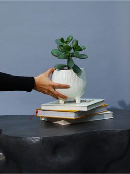 Muun Home - Aden Organic Planter White