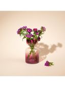 Purple color option, Sold out