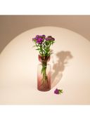 Purple color option, Sold out
