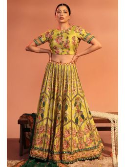 Soup by Sougat Paul - Tamaya Embroidered Lehenga Choli with Dupatta