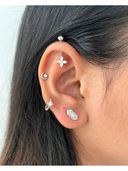 Silver color option, Currently selected