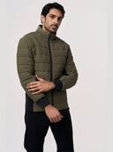 Olive color option, Sold out, Currently selected