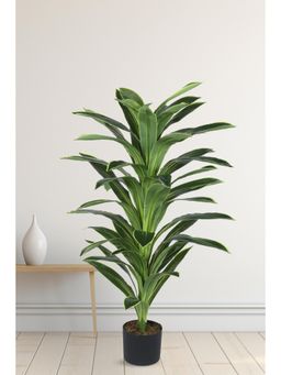 Home Bloom - Artificial Dracaena Reflex Plants for Indoor & Outdoor with Pot