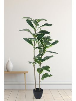 Home Bloom - Decoration Artificial Variegated Rubber Plants