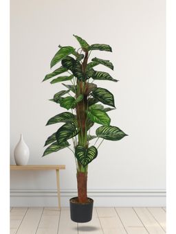 Home Bloom - Artificial Watermelon Big Leaves Pole Plant for Home with Pot