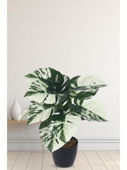 Home Bloom - Artificial PVC Monstera Big Leaves Plants In Indoor Outdoor with Pot