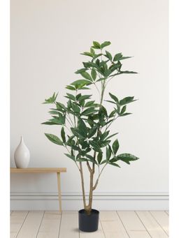 Home Bloom - Decoration Artificial Pachira Plants