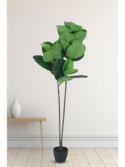 Home Bloom - Decoration Artificial Rubber Plants