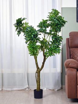 Home Bloom - Decoration Artificial Schefflera Plants