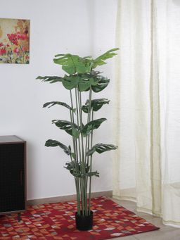 Home Bloom - Beautiful Artificial Monstera Plant with Big with Pot