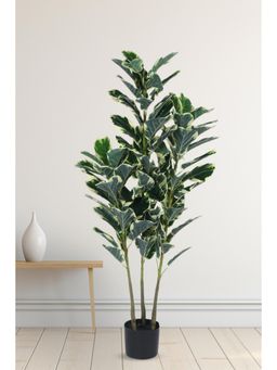 Home Bloom - Decoration Artificial Variegated Fiddle Leaf Fig Plants for
