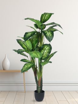 Home Bloom - Decoration Artificial Dieffenbachia Plants
