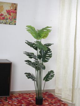 Home Bloom - Beautiful Artificial Monstera Plant with Big with Pot