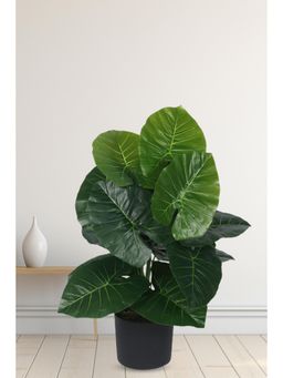 Home Bloom - Artificial PVC Rubber Big Leaves Plants for Indoor Outdoor with Pot