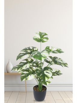 Home Bloom - Artificial PVC Monstera Big Leaves Plants In Indoor Outdoor with Pot
