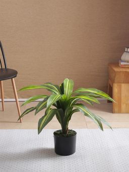 Home Bloom - Artificial Dracaena Plant for with Basic Black Pot