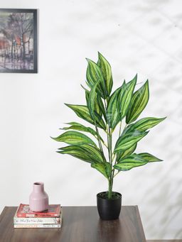 Home Bloom - Artificial Dracaena Plant for with Basic Black Pot - 26 Leaves