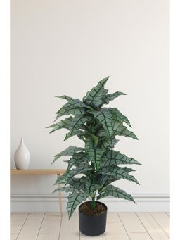 Home Bloom - Artificial Happy Philo Plants for Home Decor