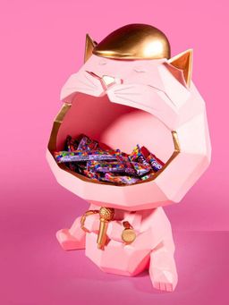 Smokey Cocktail - Cat Storage Decor Pink