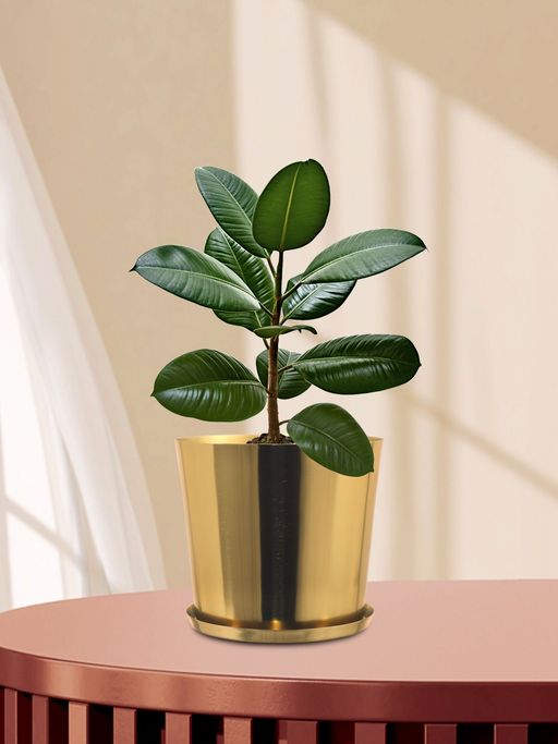 Metalsmith Gold Planter For Indoor and Outdoor Plants & Flowers Plant Container Set