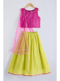 The Magic Wand - Lace Embellished Lehenga Choli With Dupatta - Fuchsia