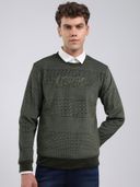 Olive color option, Currently selected