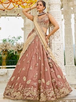 Panchhi - Beige Tissue Embroidered Semi-Stitched Lehenga And Unstitched Blouse With Dupatta