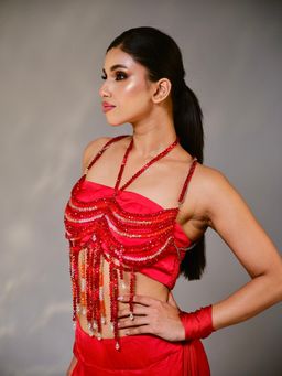 Tussya by Shreya - Mrigya Crystal Bralette