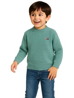 Kuchipoo - Boys Green Regular Fit Winterwear Sweater