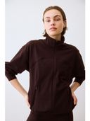 Brown color option, Currently selected