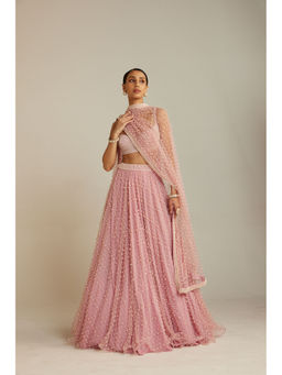 Vvani by Vani Vats - Powder Pink Dense Lehenga with Embellished Blouse & Dupatta (Set of 3)